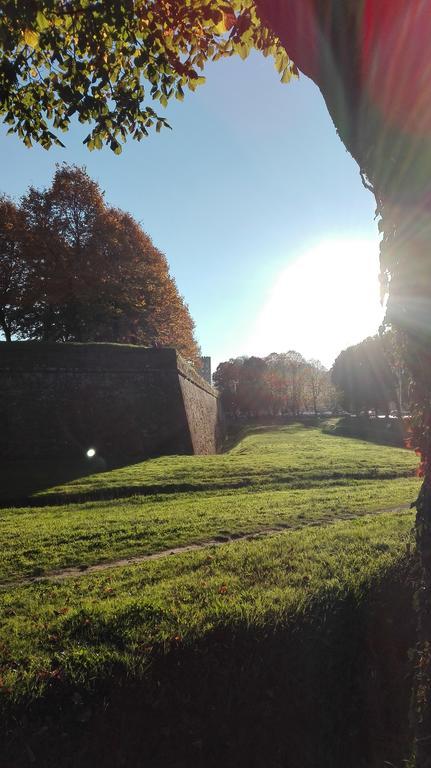 Villa Robin'S Nest Lucca Exterior foto