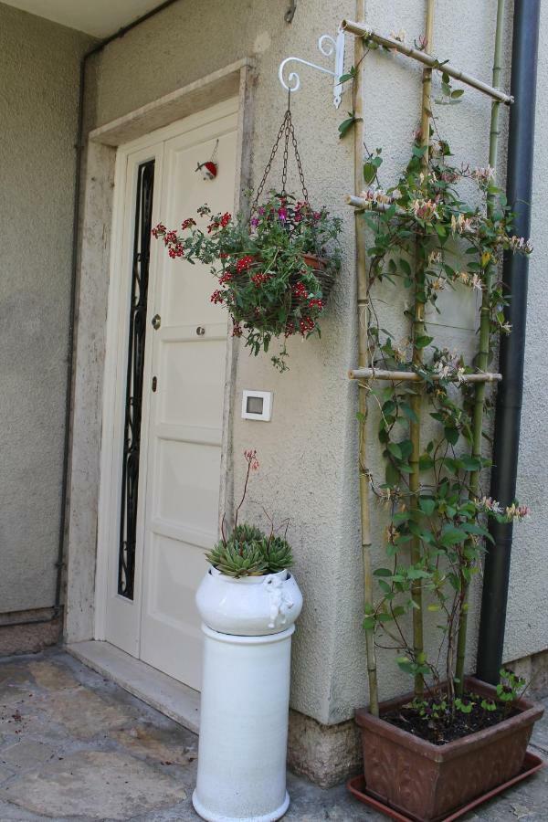 Villa Robin'S Nest Lucca Exterior foto